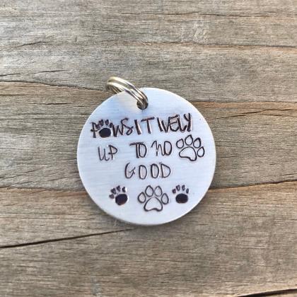 Pawsitively up to no good Pet Tag, ..