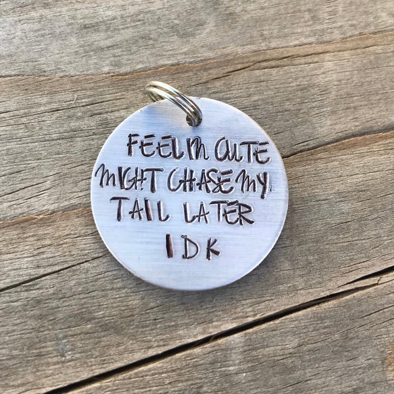Feelin cute might chase my tail later Idk, pet Tag, fun pet tag, positive, paws, punny, tag, custom