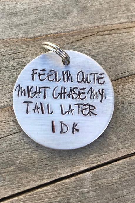 Feelin Cute Might Chase My Tail Later Idk, Pet Tag, Fun Pet Tag, Positive, Paws, Punny, Tag, Custom