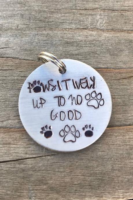 Pawsitively up to no good Pet Tag, fun pet tag, positive, paws, punny, tag, custom
